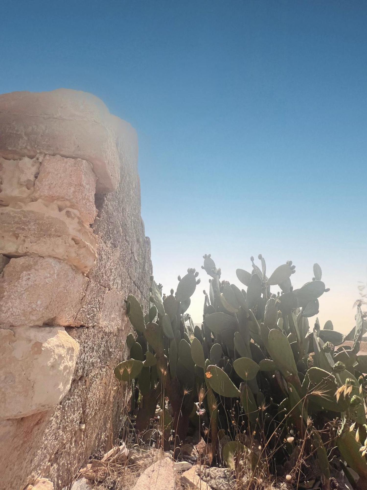 Terrarossa Salento Luxury Home Cocumola المظهر الخارجي الصورة